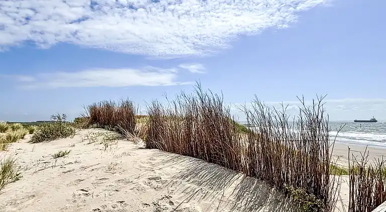 Semesterbostad i Schoondijke