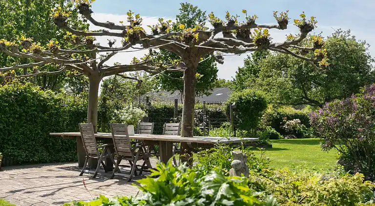 Feriebolig i Sint Kruis