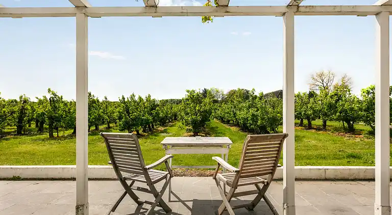 Feriebolig i Zaamslag