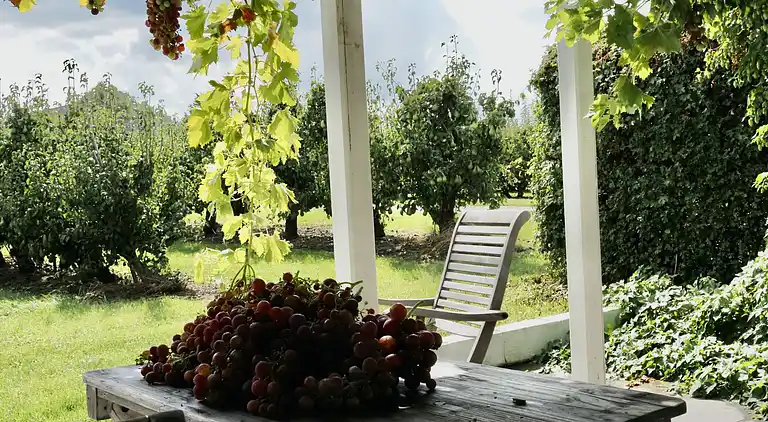 Feriebolig i Zaamslag