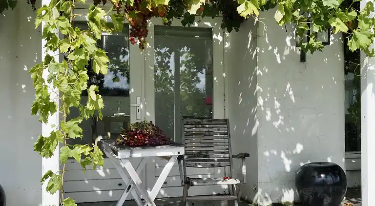 Feriebolig i Zaamslag