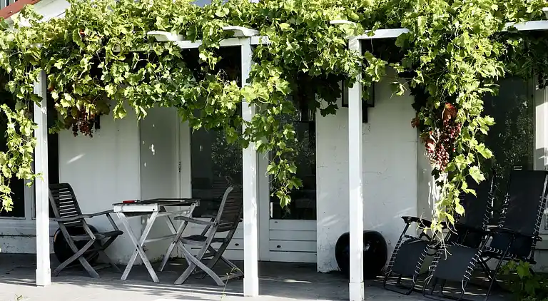 Feriebolig i Zaamslag