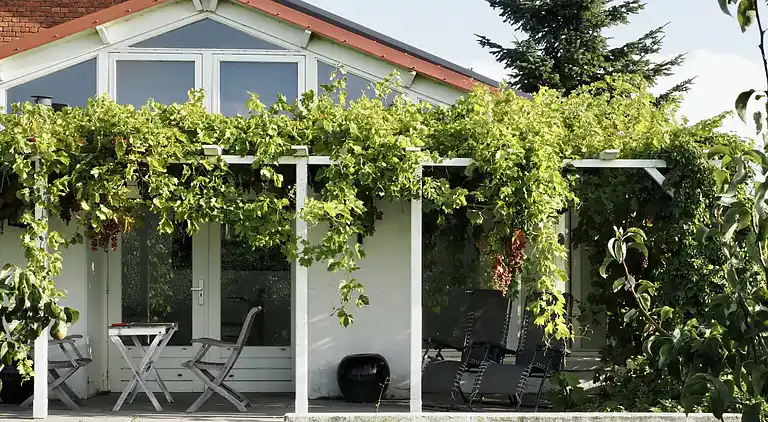 Feriebolig i Zaamslag