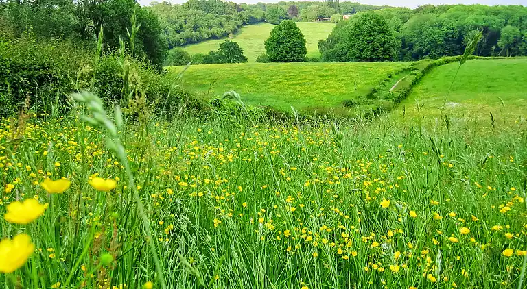 Vacation home in Gulpen