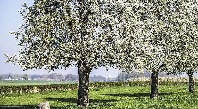 Holiday home in Gulpen