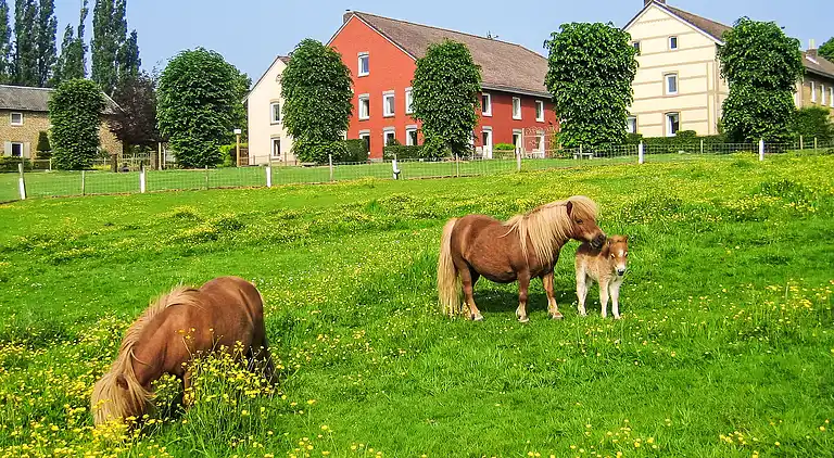 Holiday home in Gulpen