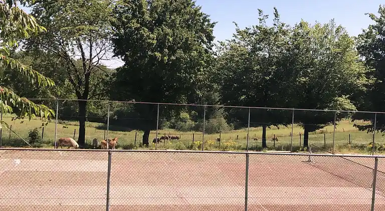 Holiday home in Gulpen