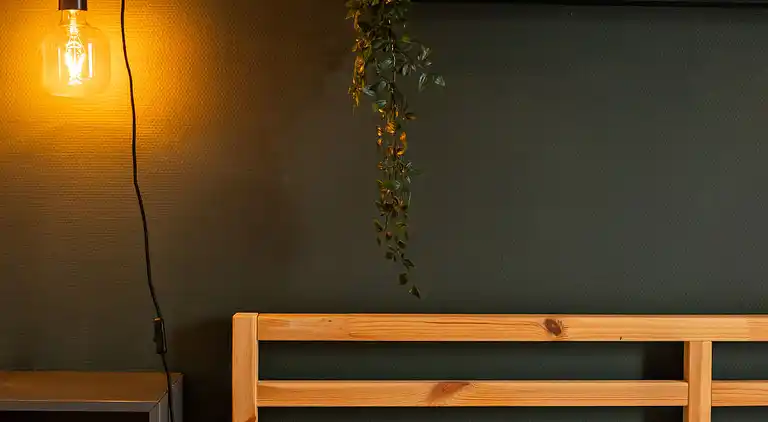 Vacation home in De Veenhoop