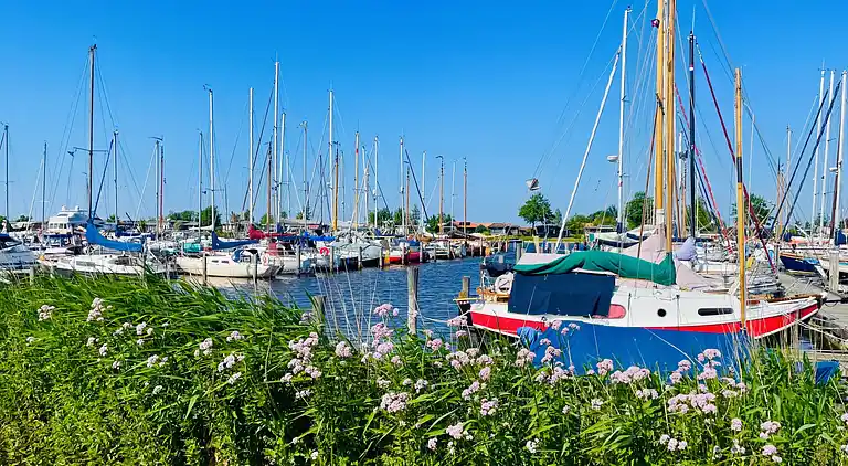 Casa vacanze in Lauwersoog