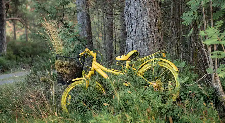 Feriebolig i Gjølanger