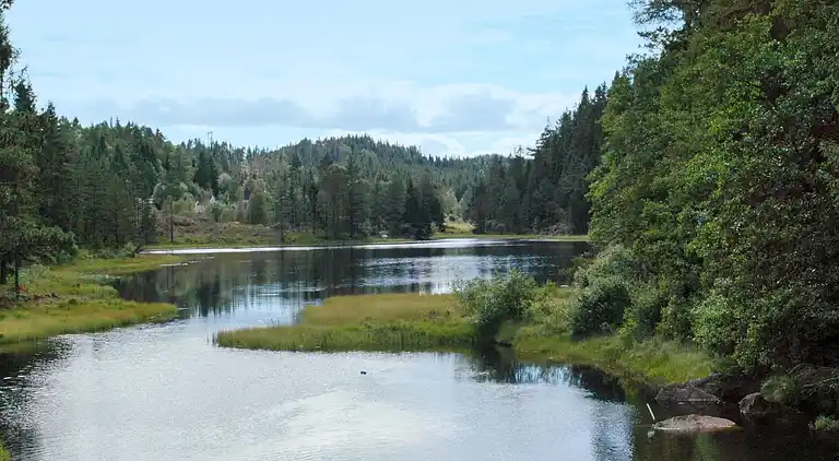 Feriebolig i Skiftenes