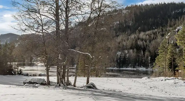 Feriebolig i Birkenes