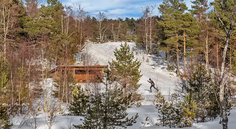 Feriebolig i Birkenes