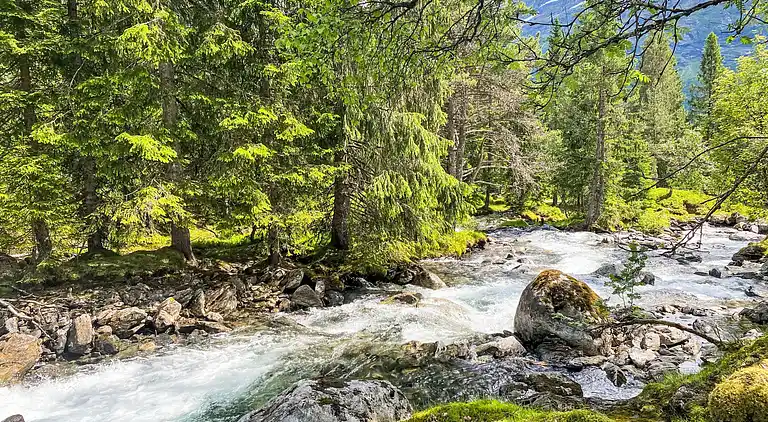 Feriebolig i Haukedalen