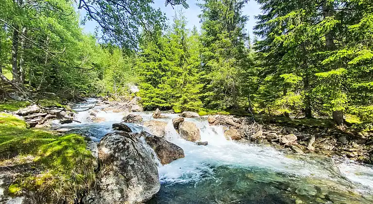 Feriebolig i Haukedalen
