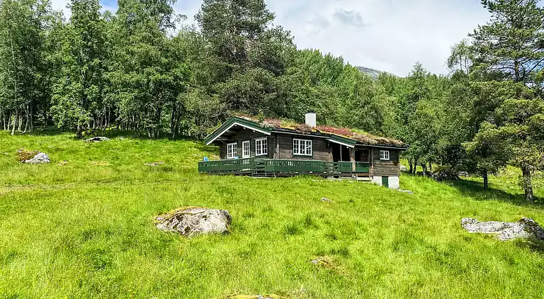 Feriebolig i Haukedalen