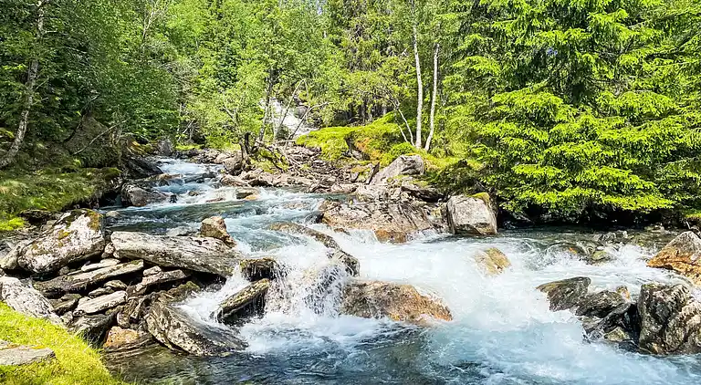 Feriebolig i Haukedalen