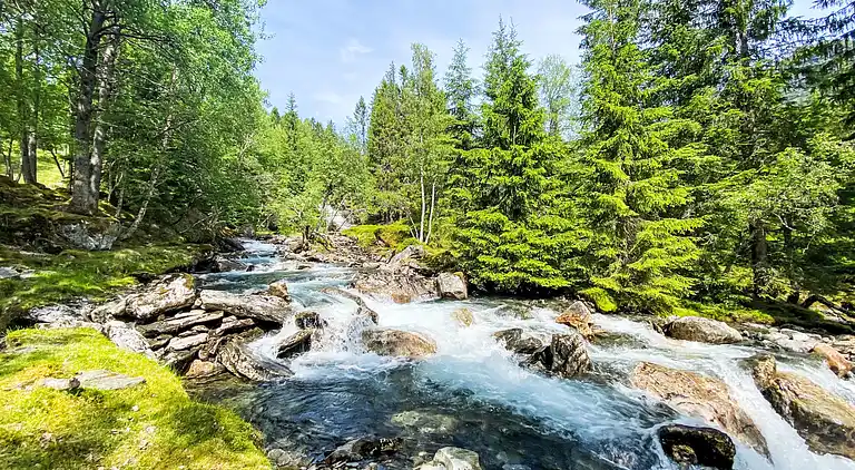 Feriebolig i Haukedalen