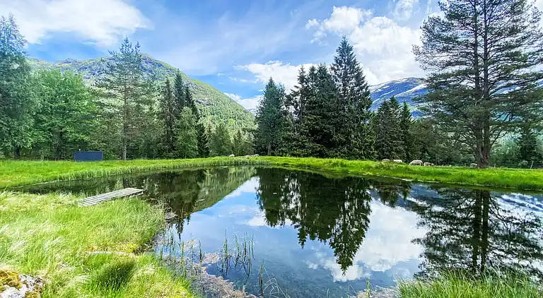 Feriebolig i Haukedalen