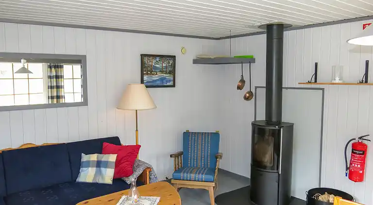 Feriebolig i Åseral