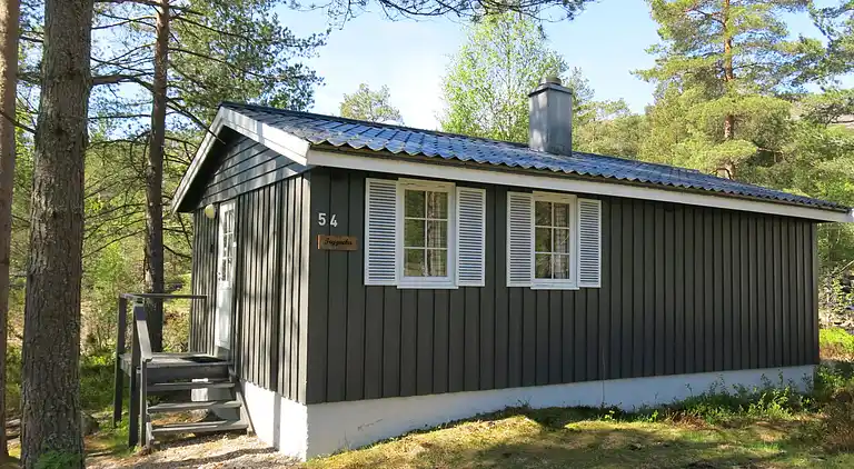 Feriebolig i Åseral