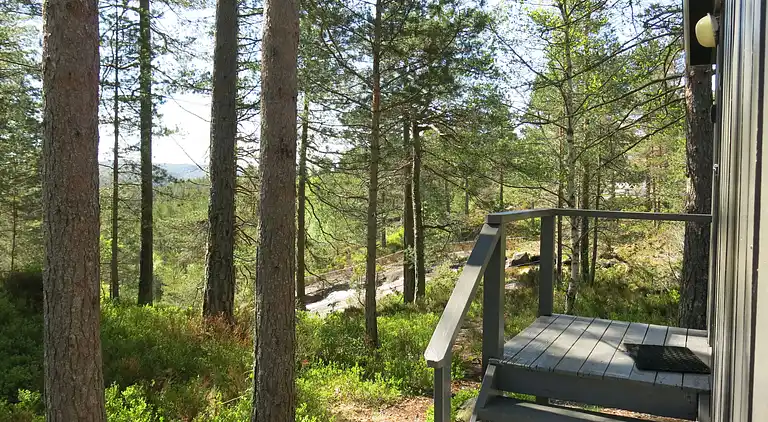 Feriebolig i Åseral