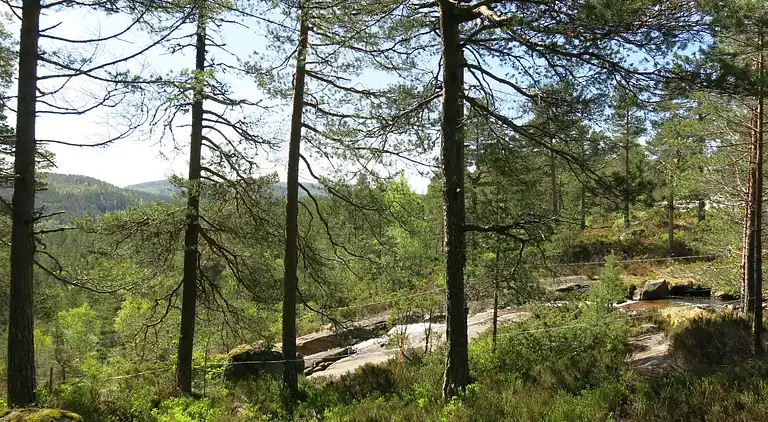 Feriebolig i Åseral