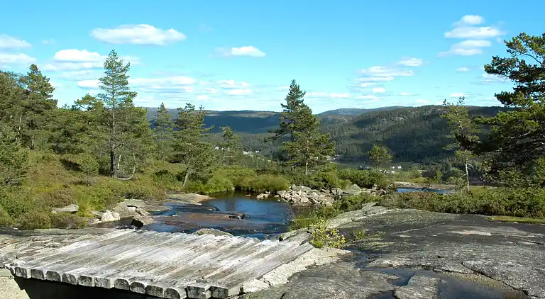 Feriebolig i Åseral