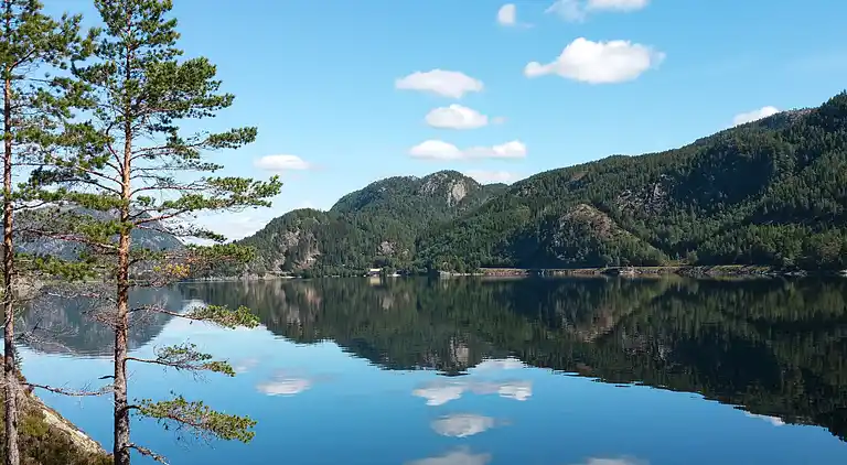 Feriebolig i Åseral