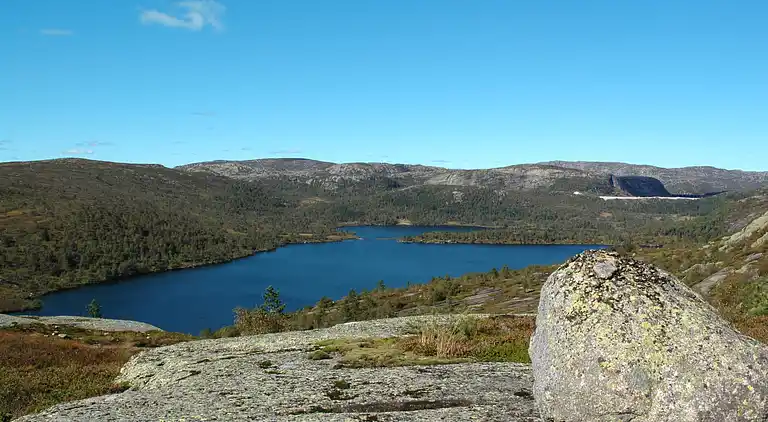 Feriebolig i Åseral