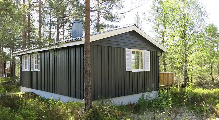 Feriebolig i Åseral