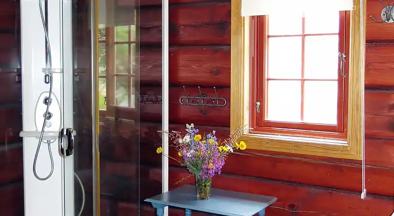 Vacation home in Åseral Municipality