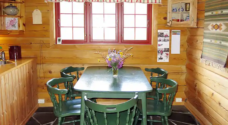 Vacation home in Åseral Municipality