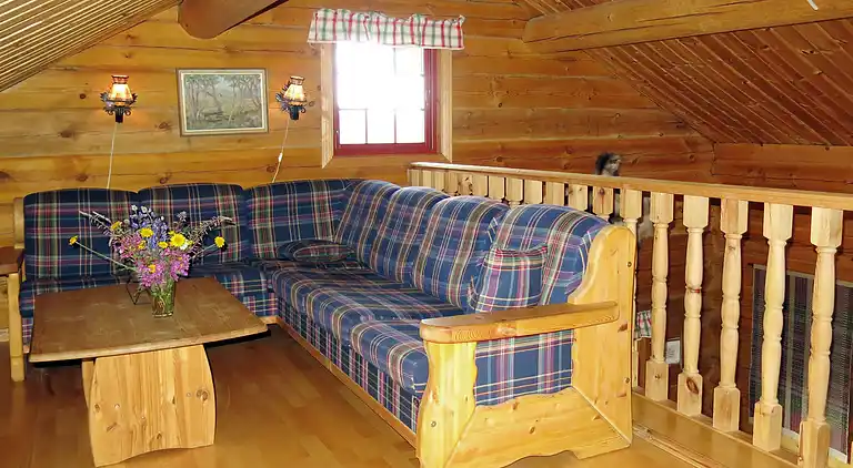 Vacation home in Åseral Municipality