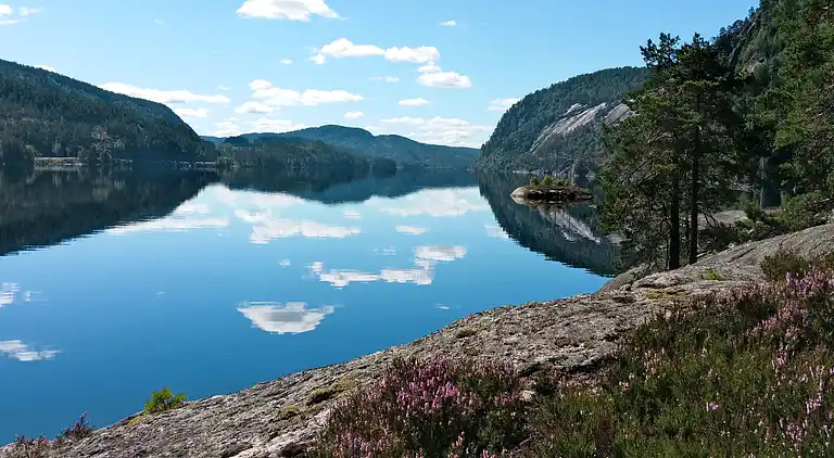 Vacation home in Åseral Municipality