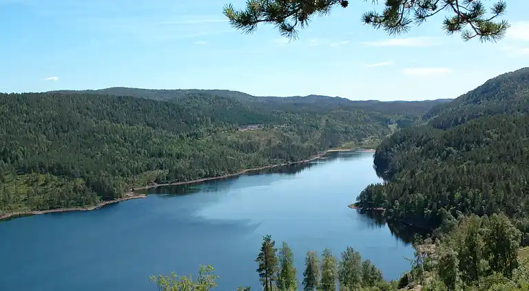 Vacation home in Åseral Municipality