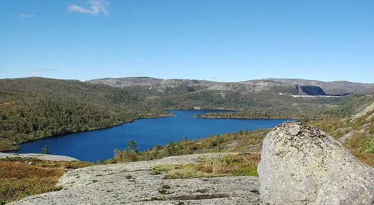 Feriebolig i Åseral