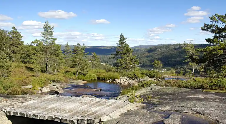 Feriebolig i Åseral