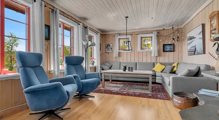 Feriebolig i Åseral