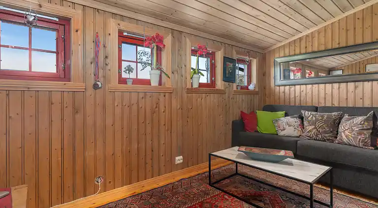 Feriebolig i Åseral