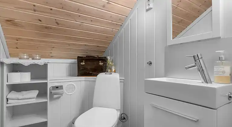 Feriebolig i Åseral