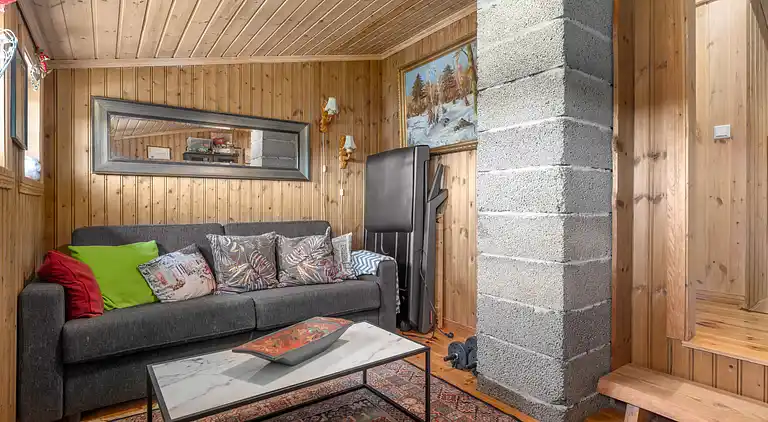 Feriebolig i Åseral