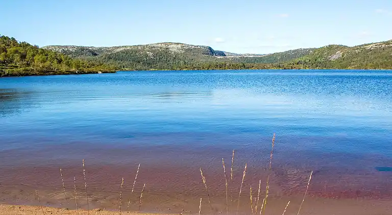 Feriebolig i Åseral