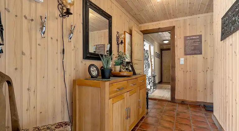 Feriebolig i Åseral