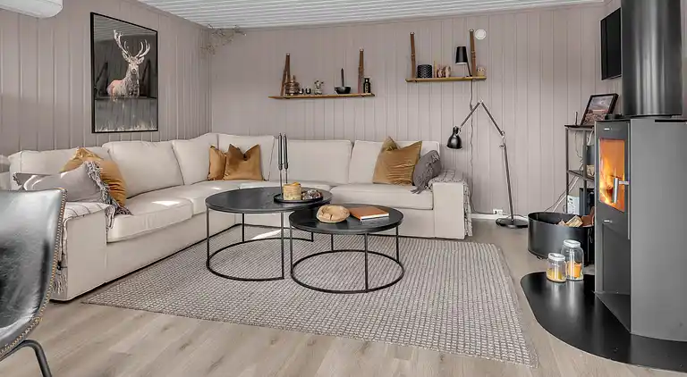 Casa vacanze in Åseral