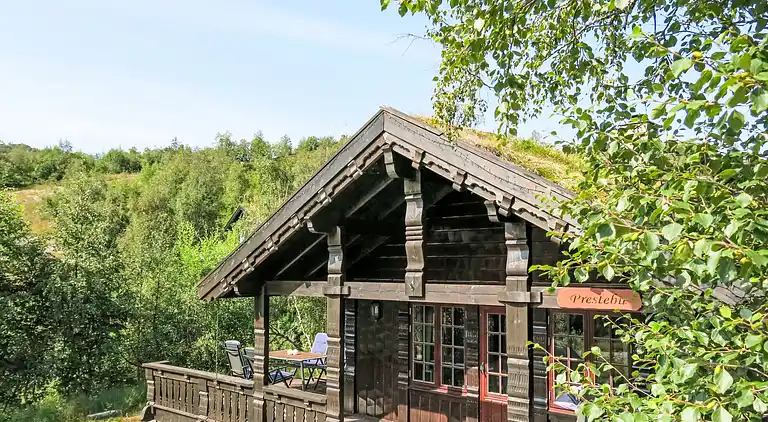 Feriebolig i Åseral