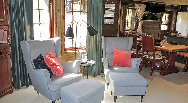 Feriebolig i Åseral