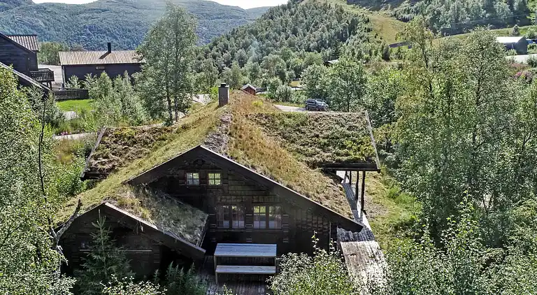 Feriebolig i Åseral