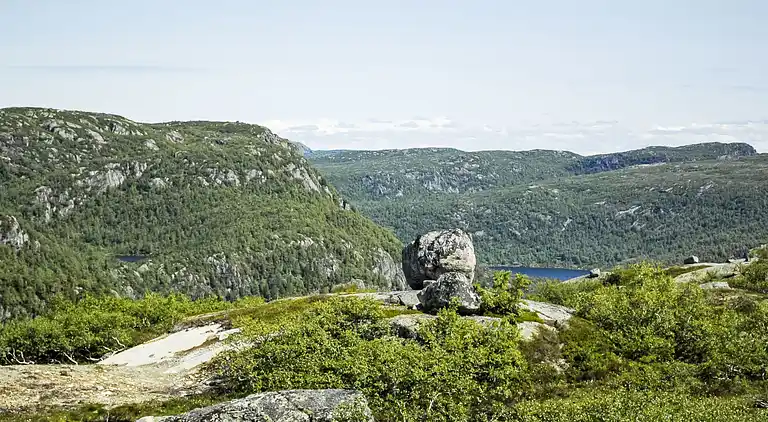 Feriebolig i Åseral