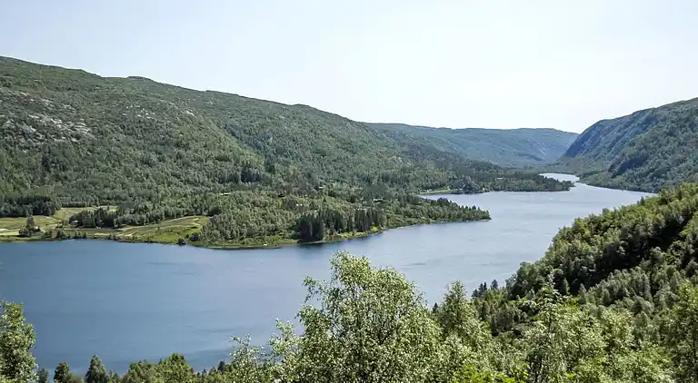 Feriebolig i Åseral